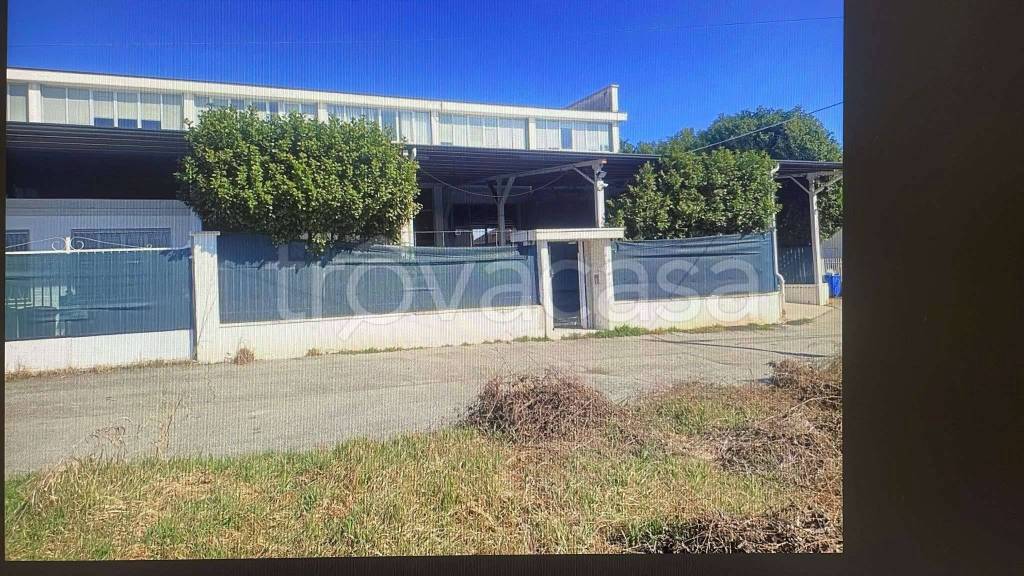 immagine annuncio 9 di 14