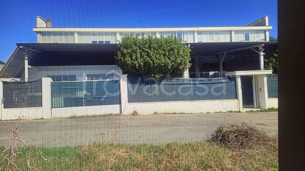 immagine annuncio 13 di 14