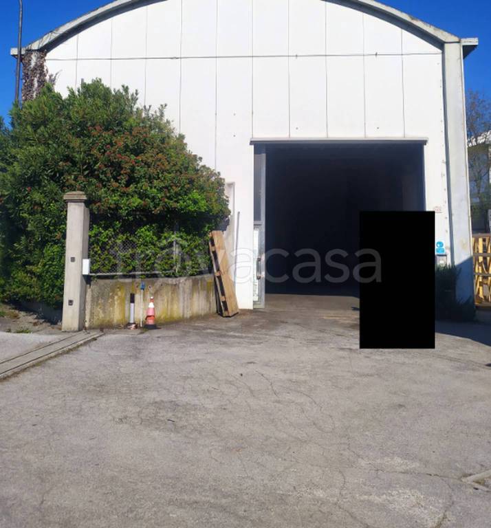 immagine annuncio 6 di 13