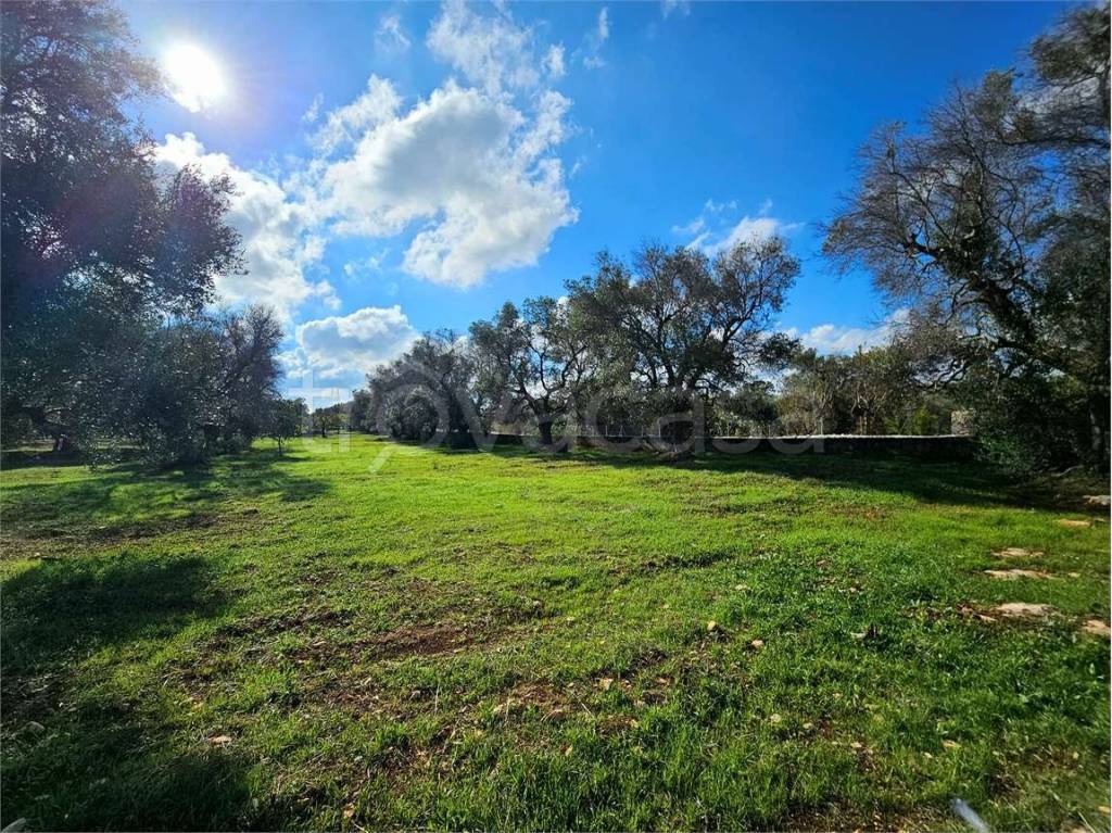 immagine annuncio 11 di 12