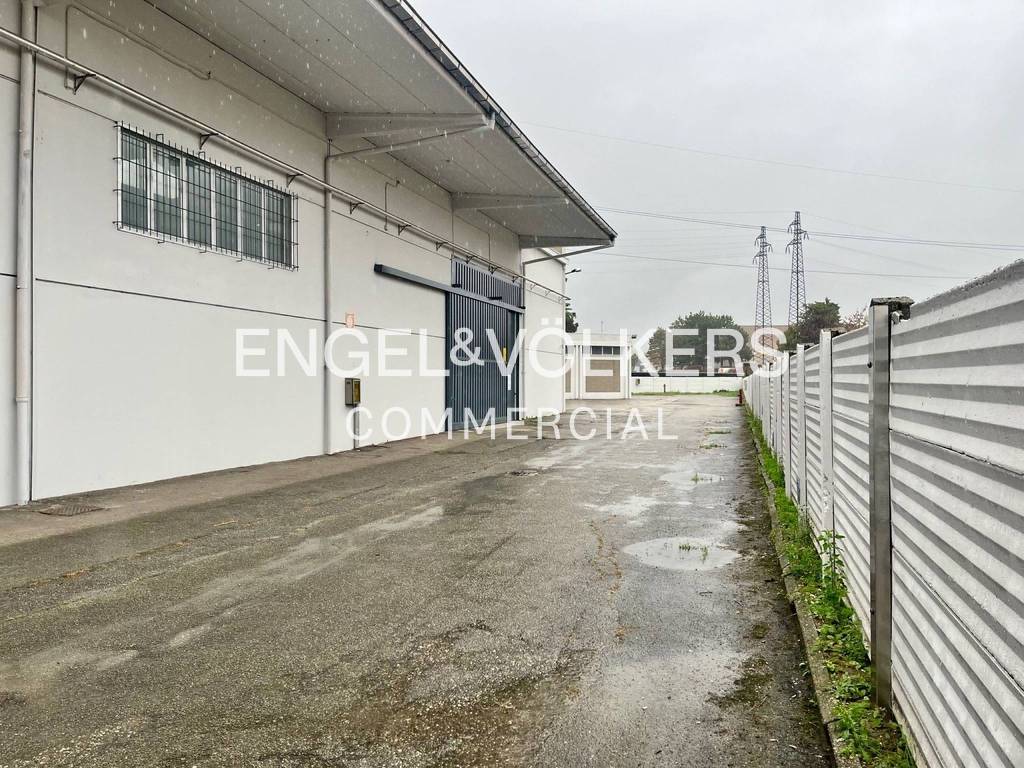 immagine annuncio 13 di 15