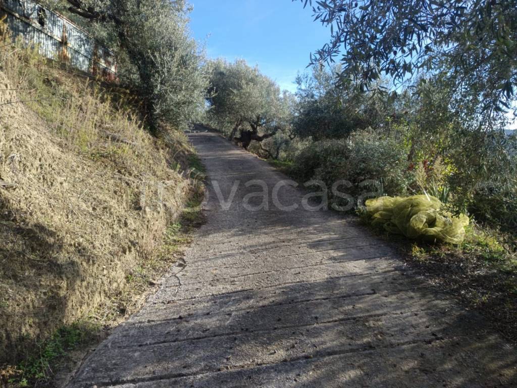 immagine annuncio 9 di 14