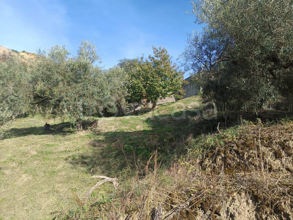 immagine annuncio 10 di 14