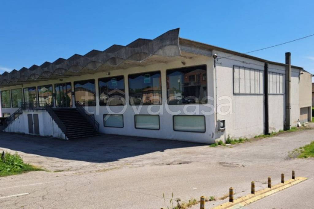 immagine annuncio 2 di 11