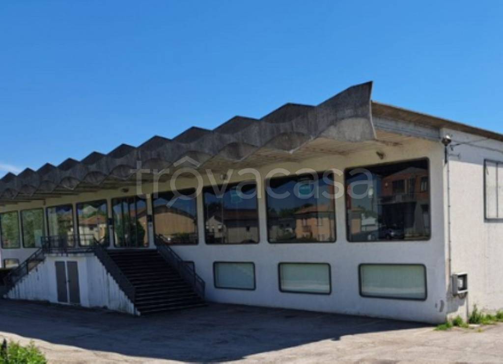 immagine annuncio 10 di 11