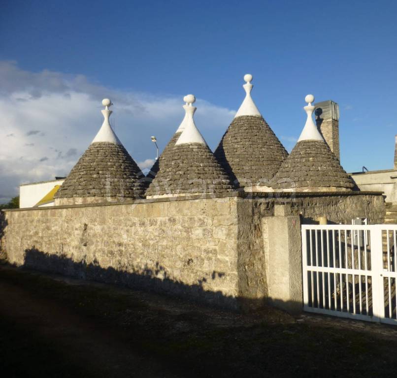 immagine annuncio 12 di 14