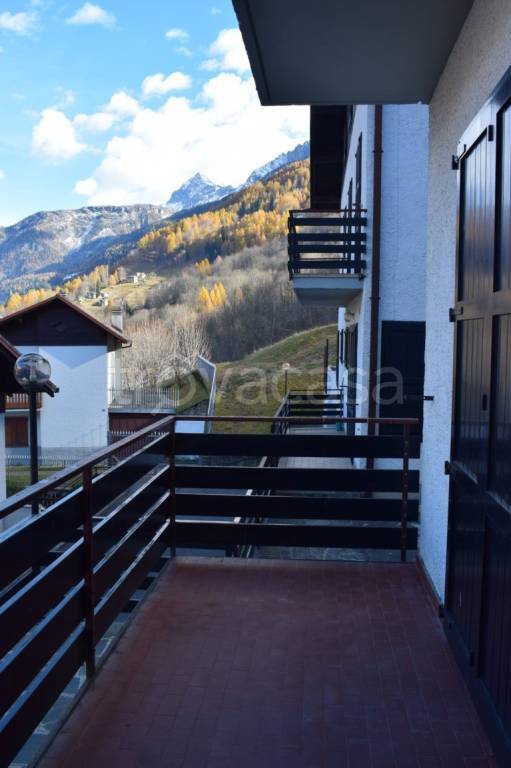 immagine annuncio 12 di 14