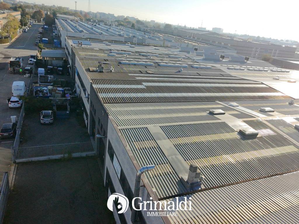 immagine annuncio 9 di 13