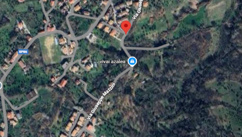 immagine annuncio 3 di 13