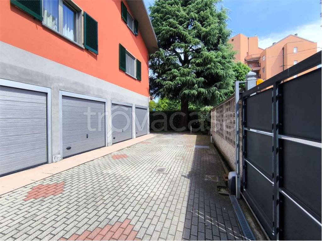 immagine annuncio 12 di 15