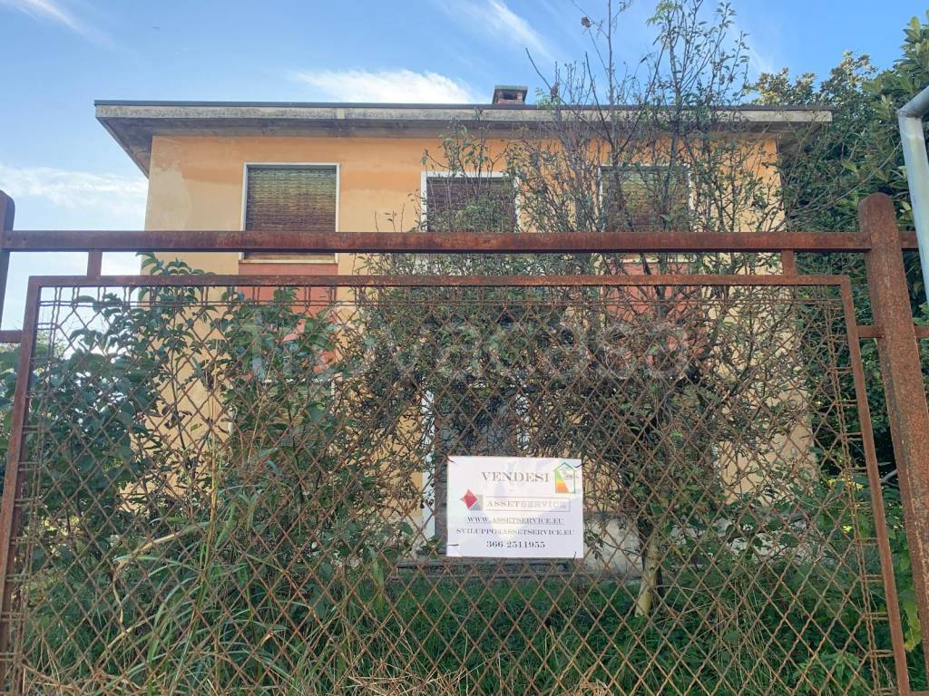 immagine annuncio 2 di 14