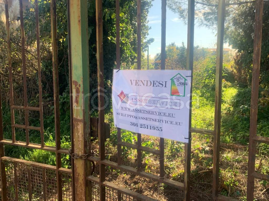 immagine annuncio 11 di 14