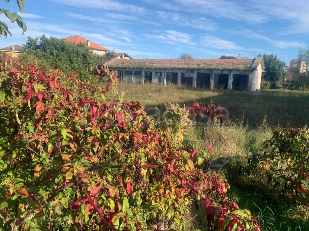 immagine annuncio 3 di 14