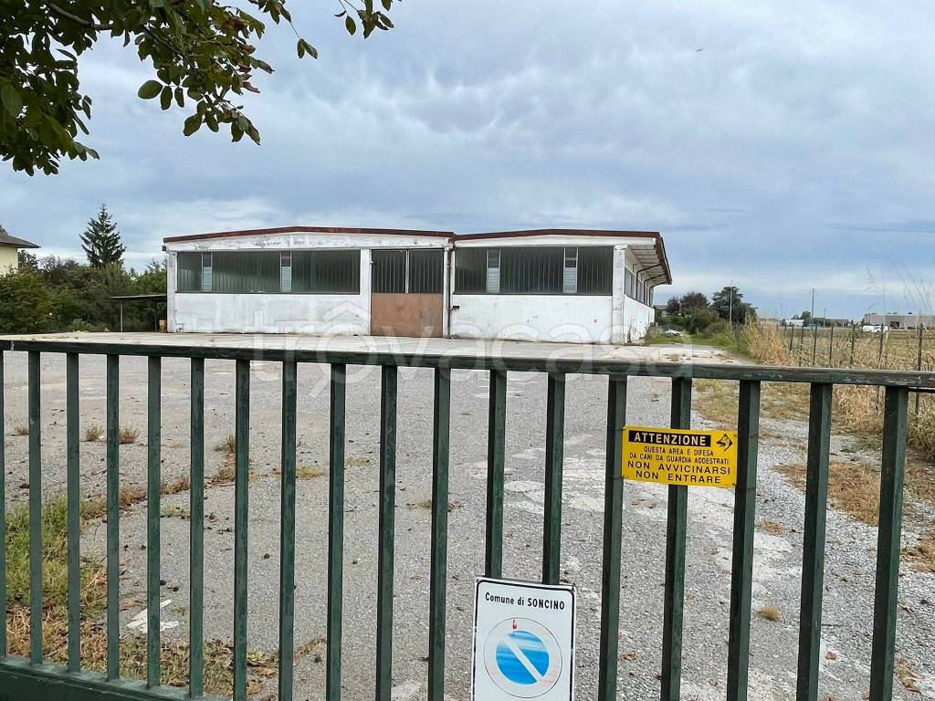 immagine annuncio 5 di 15