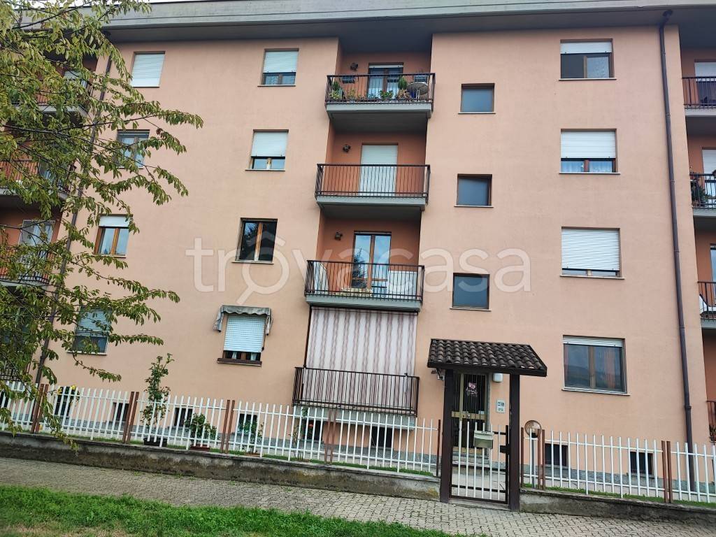 immagine annuncio 6 di 11