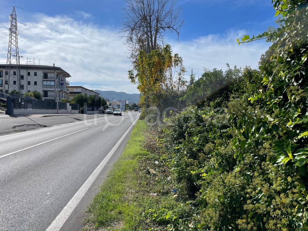 immagine annuncio 2 di 7