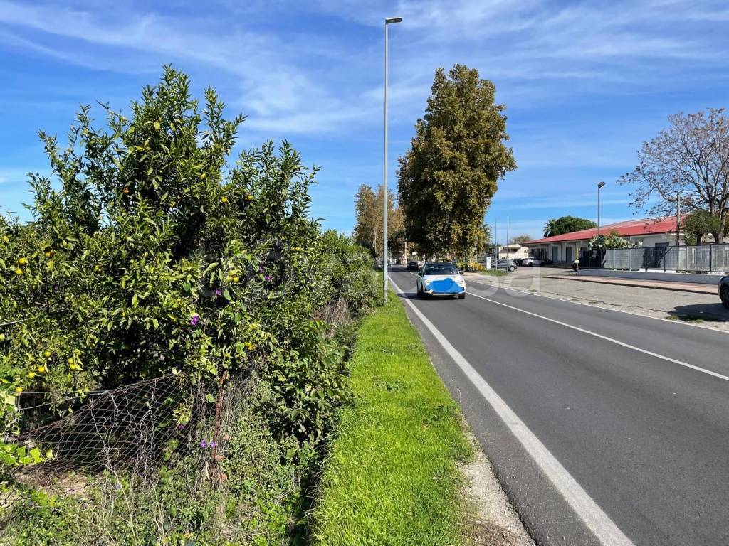 immagine annuncio 4 di 7