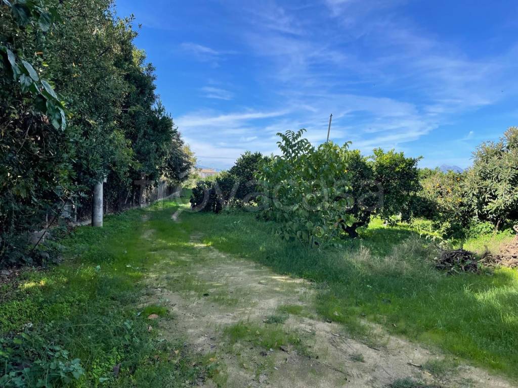 immagine annuncio 5 di 7