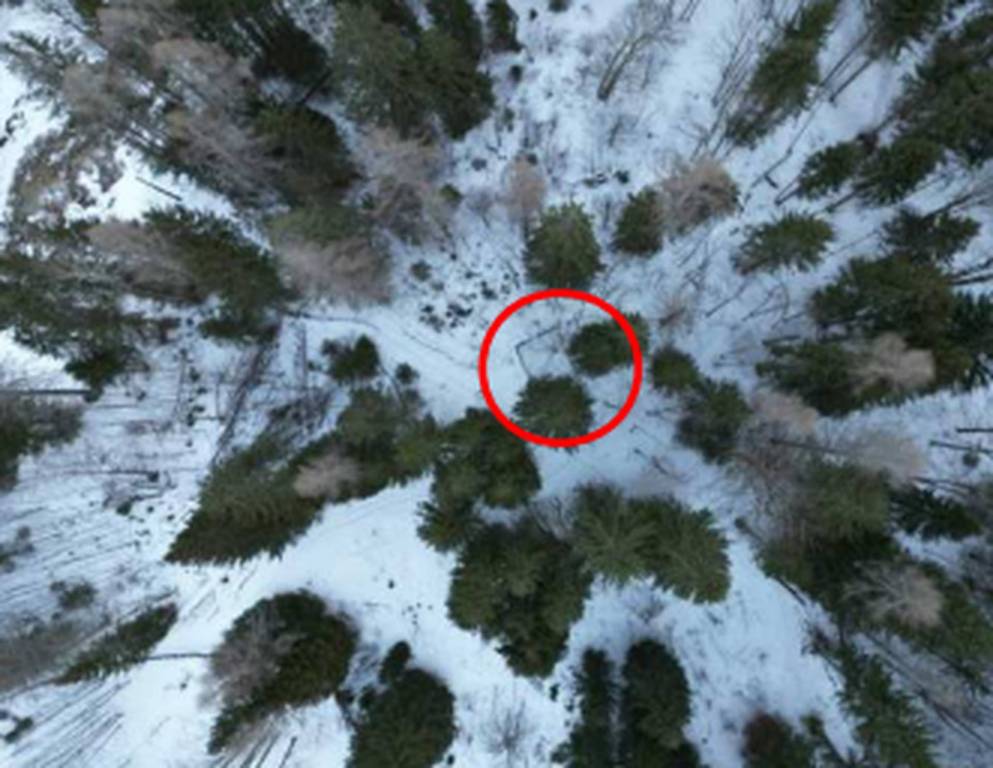 immagine annuncio 7 di 9