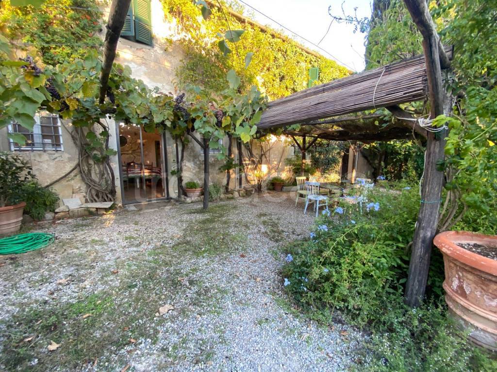 immagine annuncio 6 di 11