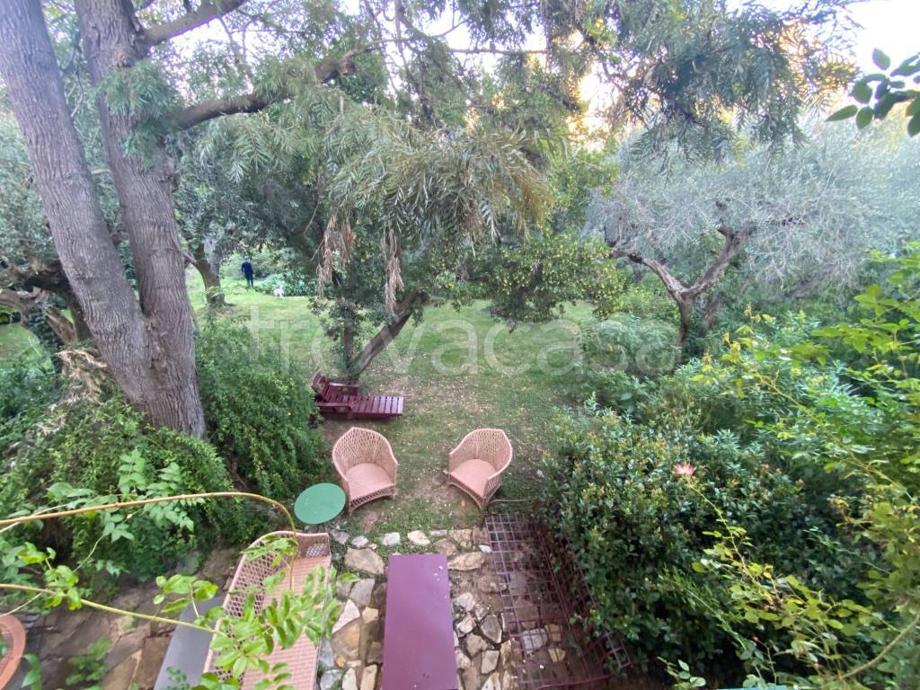 immagine annuncio 10 di 11