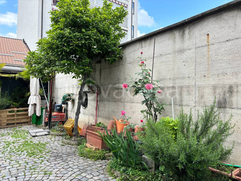 immagine annuncio 6 di 15