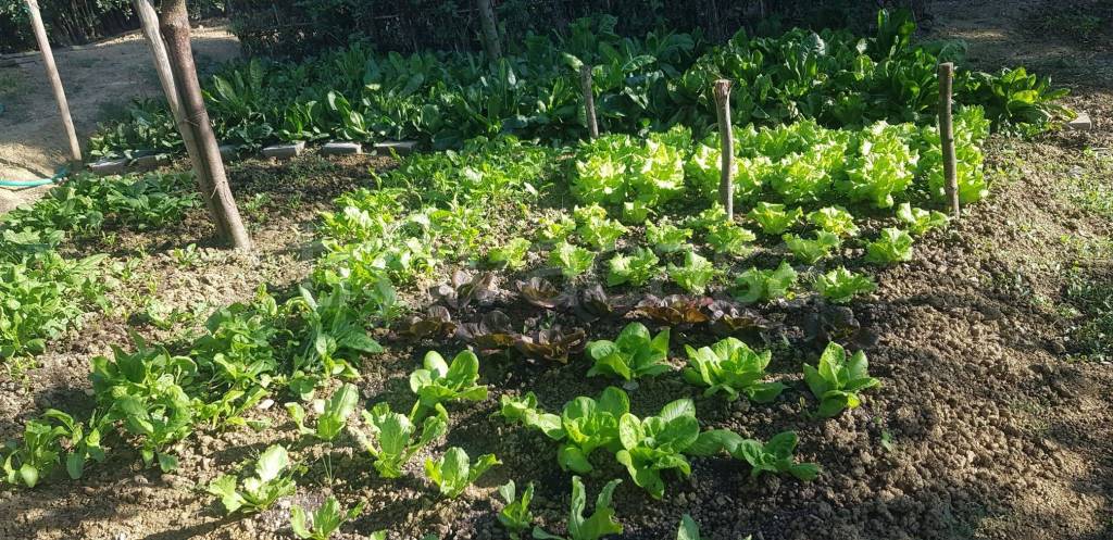 immagine annuncio 5 di 9