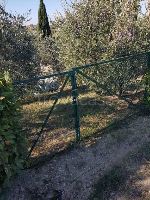 immagine annuncio 8 di 9