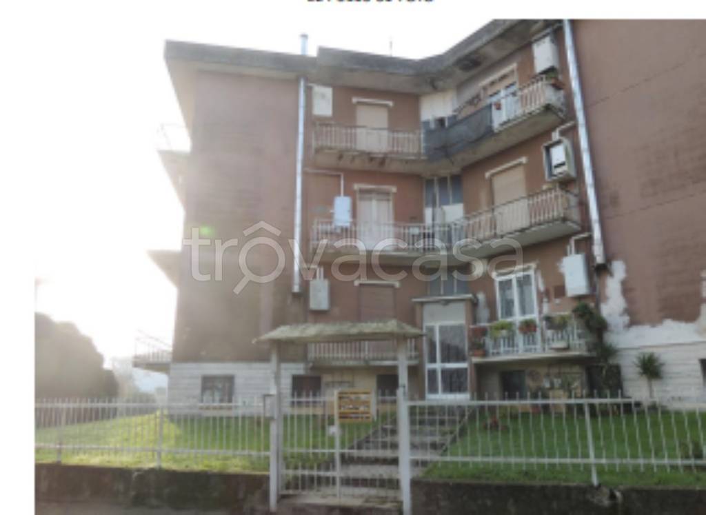 immagine annuncio 6 di 14