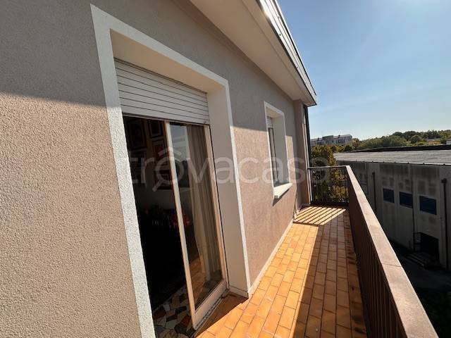 immagine annuncio 3 di 14