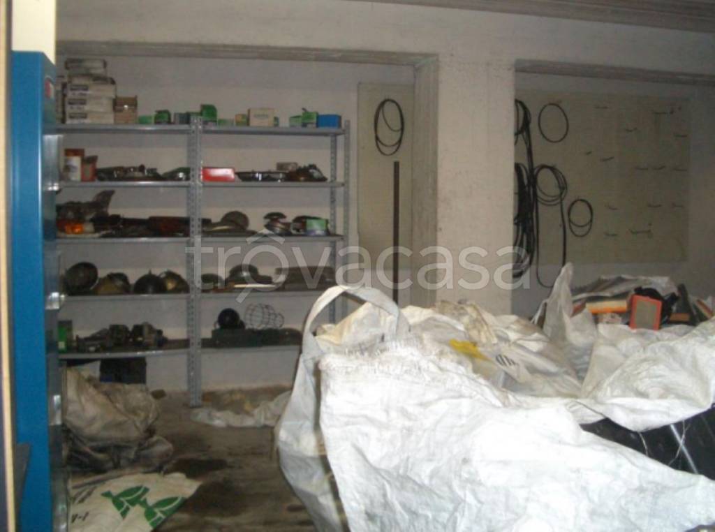 immagine annuncio 12 di 13