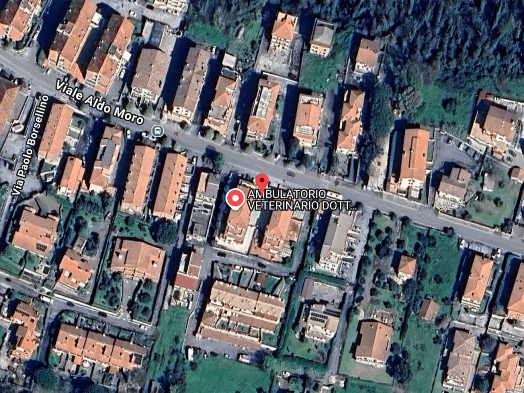 immagine annuncio 1 di 11