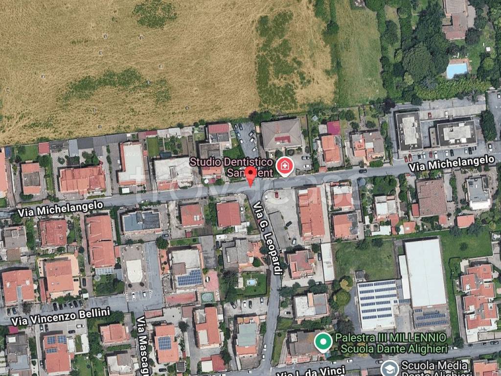 immagine annuncio 1 di 11