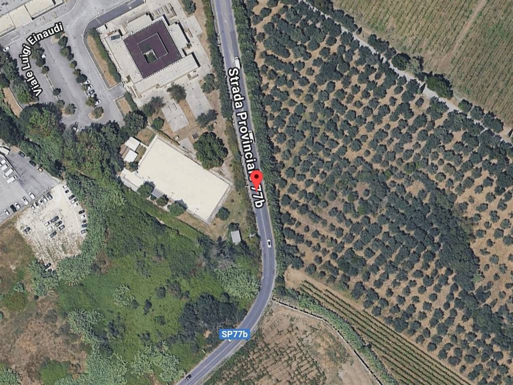 immagine annuncio 1 di 11