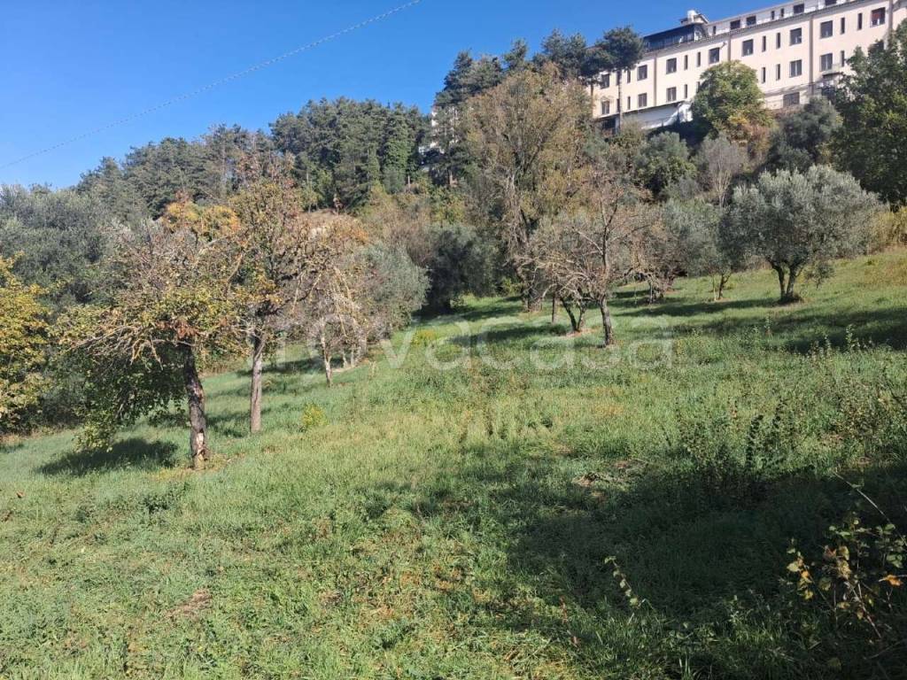 immagine annuncio 1 di 3