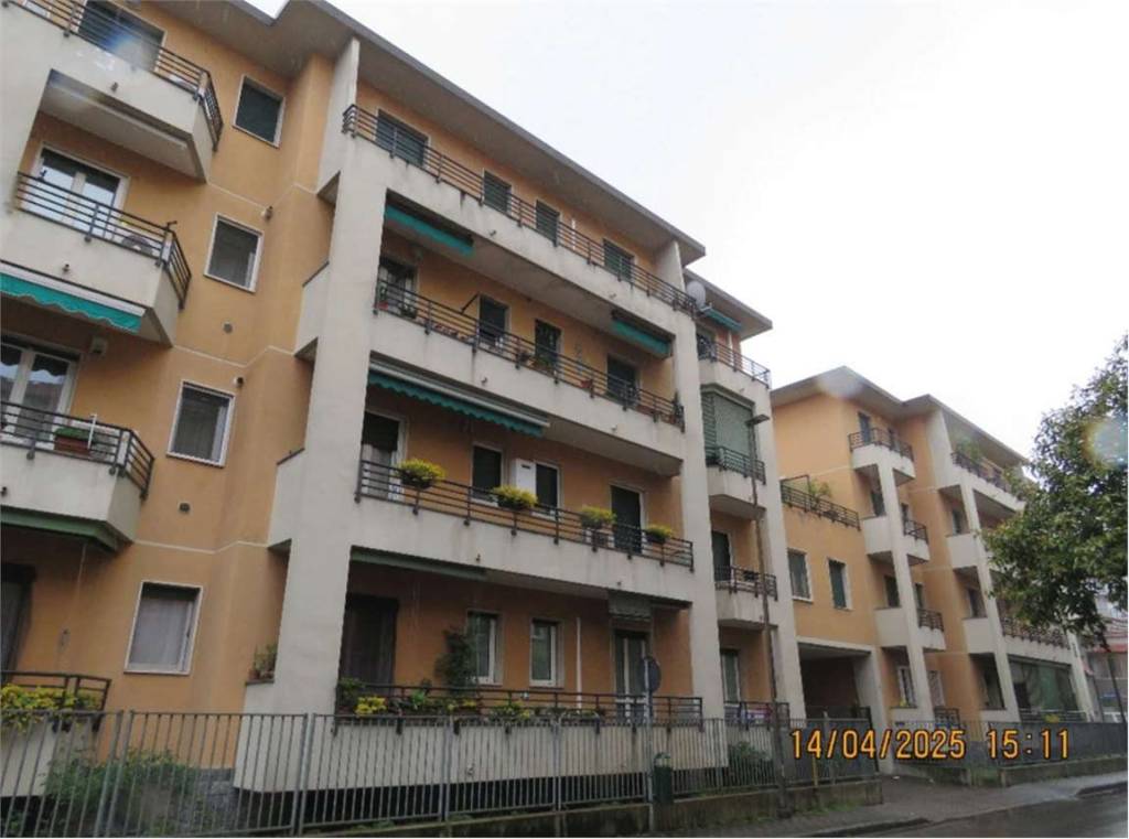 immagine annuncio 1 di 13