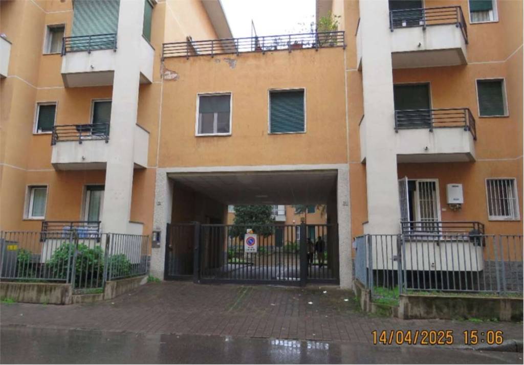 immagine annuncio 2 di 13