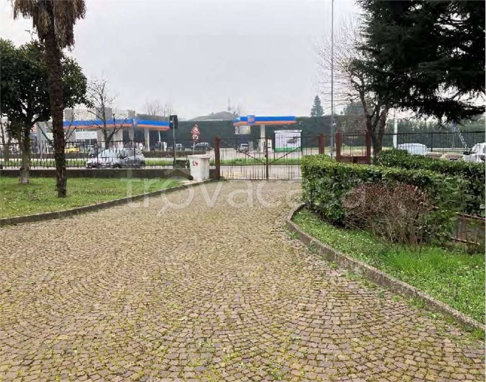 immagine annuncio 1 di 4