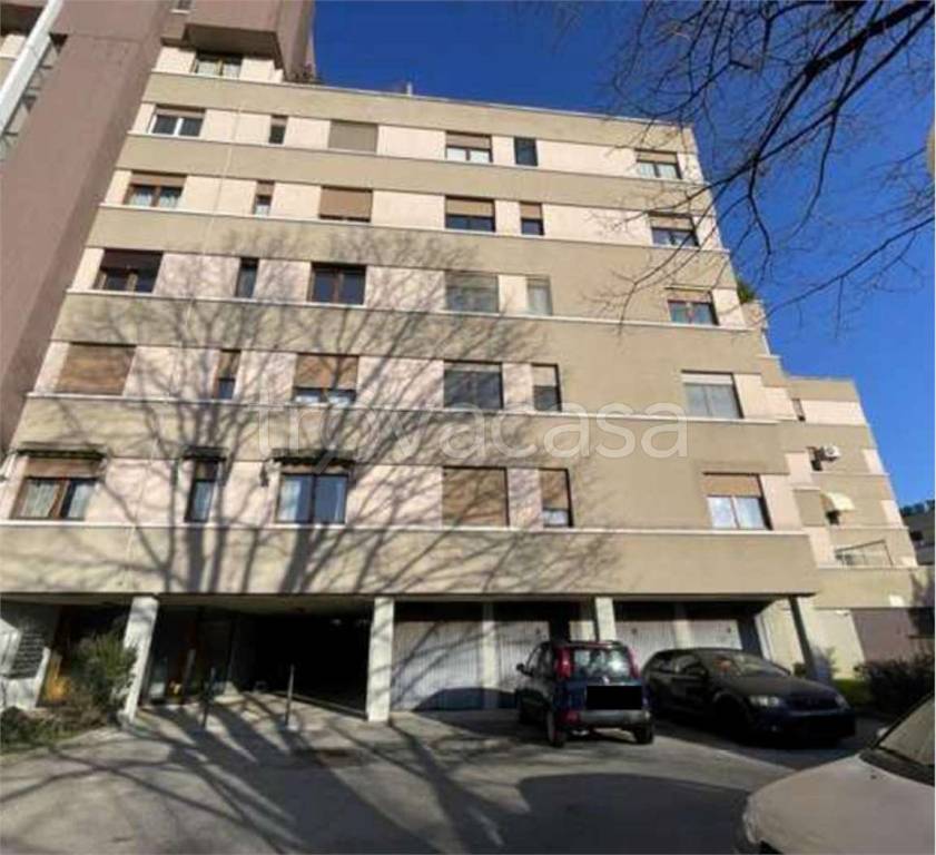 immagine annuncio 3 di 12