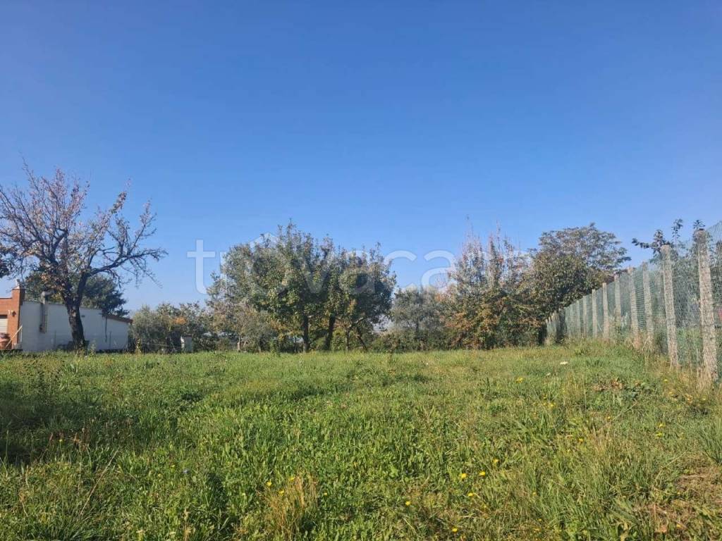 immagine annuncio 1 di 4