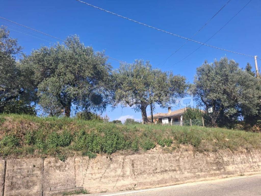 immagine annuncio 2 di 4