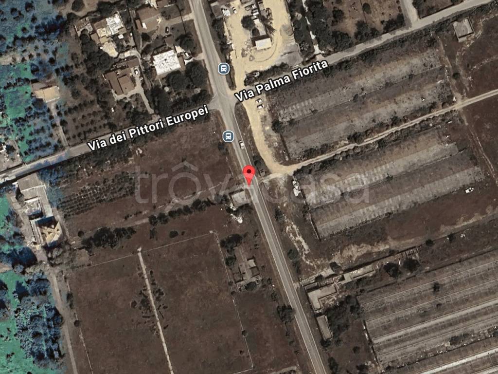 immagine annuncio 1 di 11