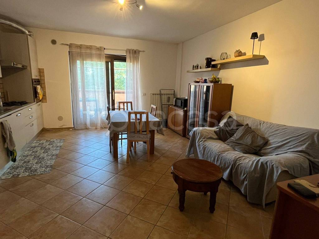 immagine annuncio 5 di 14