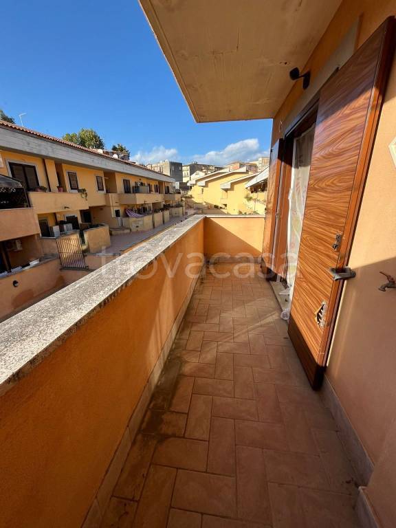 immagine annuncio 9 di 14