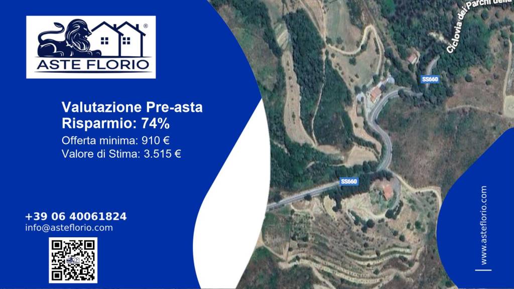 immagine annuncio 1 di 12