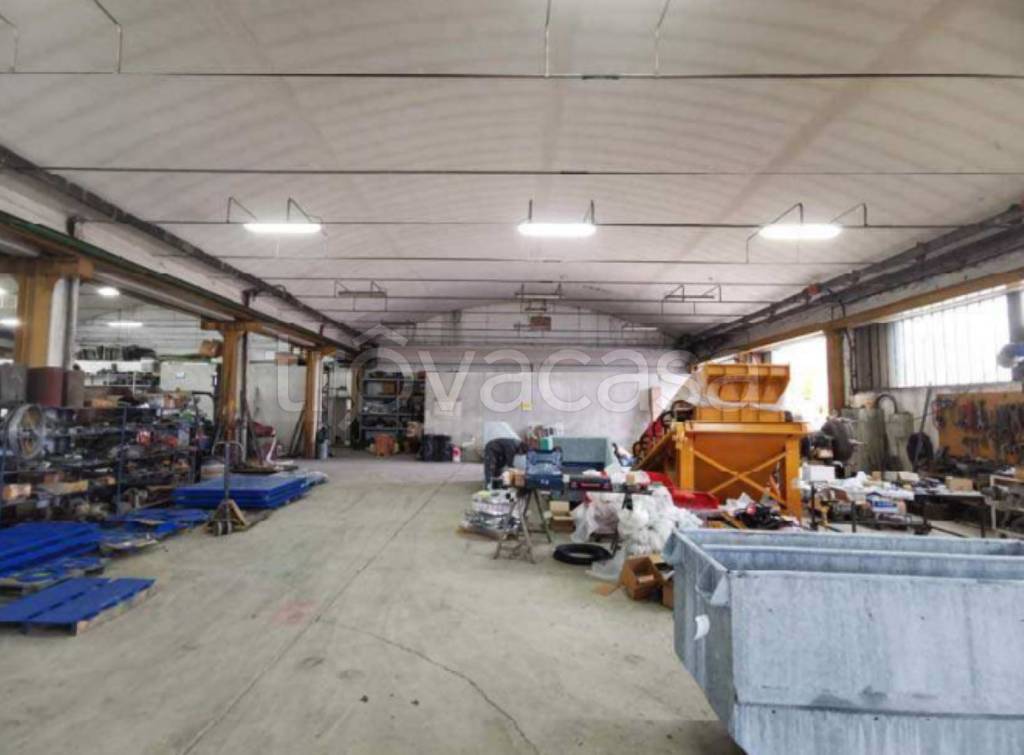 immagine annuncio 12 di 15