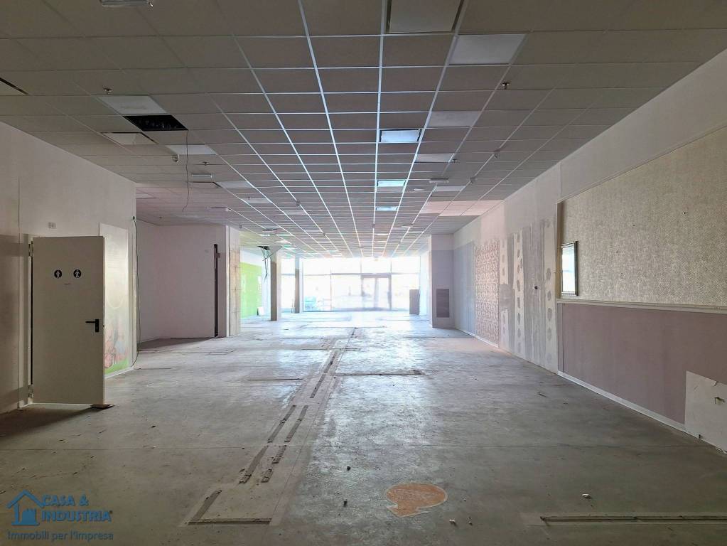 immagine annuncio 2 di 11