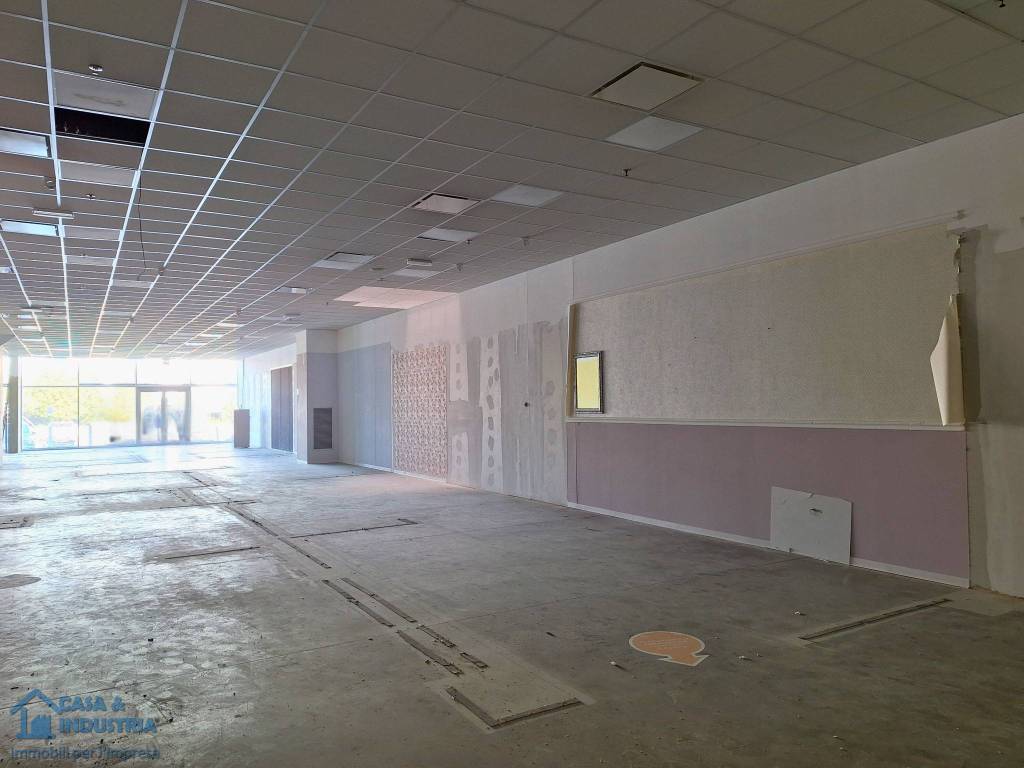 immagine annuncio 3 di 11