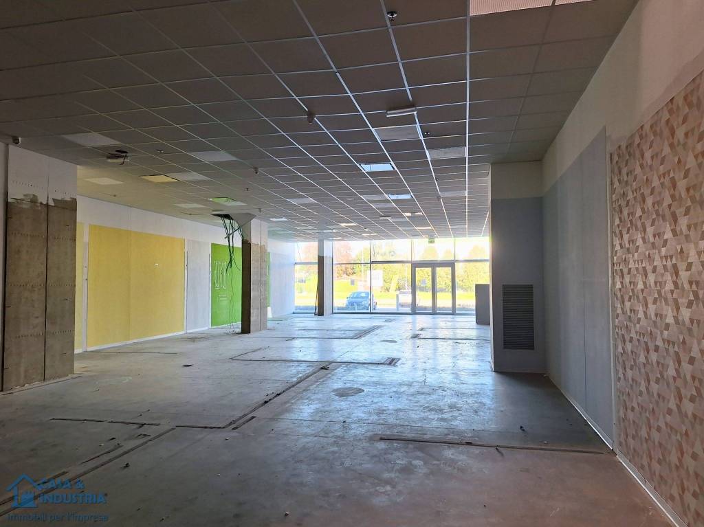 immagine annuncio 4 di 11