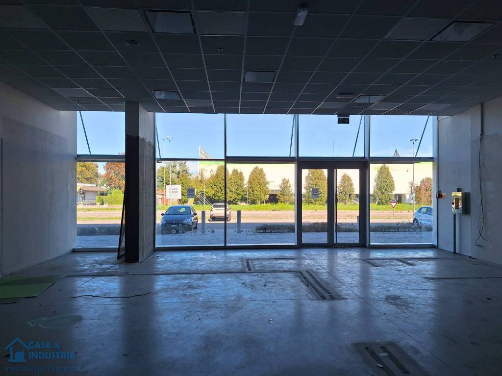 immagine annuncio 6 di 11